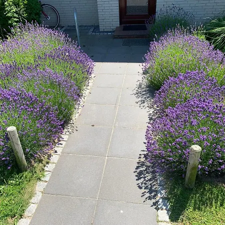 Huus Parlbuggt Daire